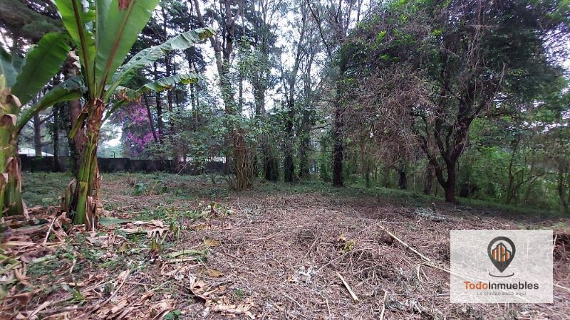 Terreno en Renta en Carretera a El Salvador km 19 - Villas del Pinar Fraijanes - 6