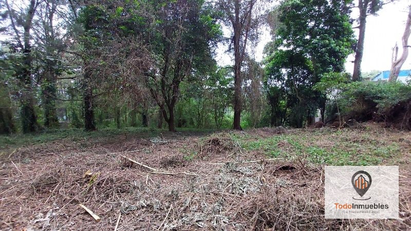 Terreno en Renta en Carretera a El Salvador km 19 - Villas del Pinar Fraijanes - 2