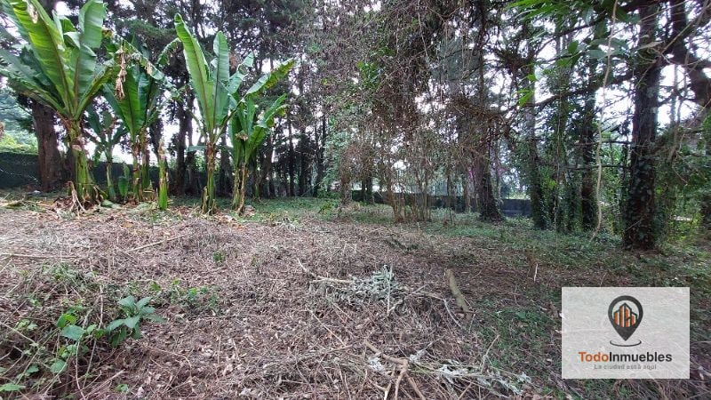 Terreno en Renta en Carretera a El Salvador km 19 - Villas del Pinar Fraijanes - 4