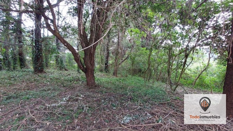 Terreno en Renta en Carretera a El Salvador km 19 - Villas del Pinar Fraijanes - 5