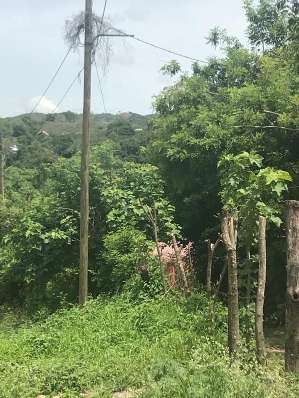 TERRENO EN LAS TUNAS, SANARATE EL PROGRESO — Terreno en Venta en Sanarate, El Progreso — foto 5 de 6