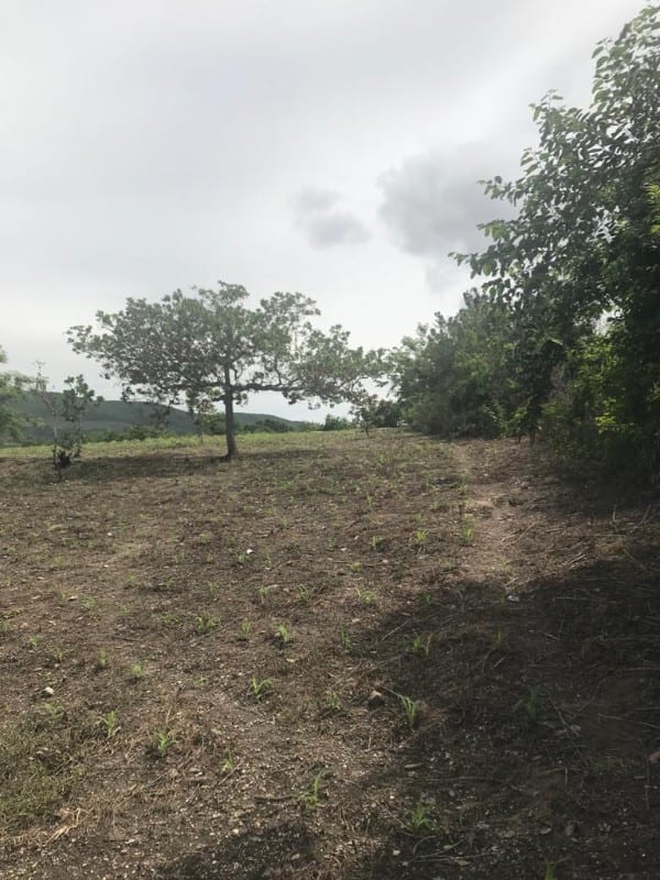 TERRENO EN LAS TUNAS, SANARATE EL PROGRESO — Terreno en Venta en Sanarate, El Progreso — foto 2 de 6