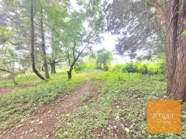 Venta Terreno km. 28 Carretera a El Salvador - 5