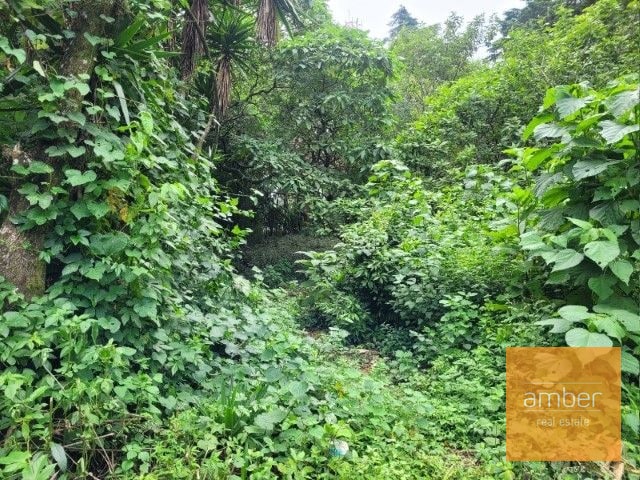 Venta Terreno km. 28 Carretera a El Salvador - 2