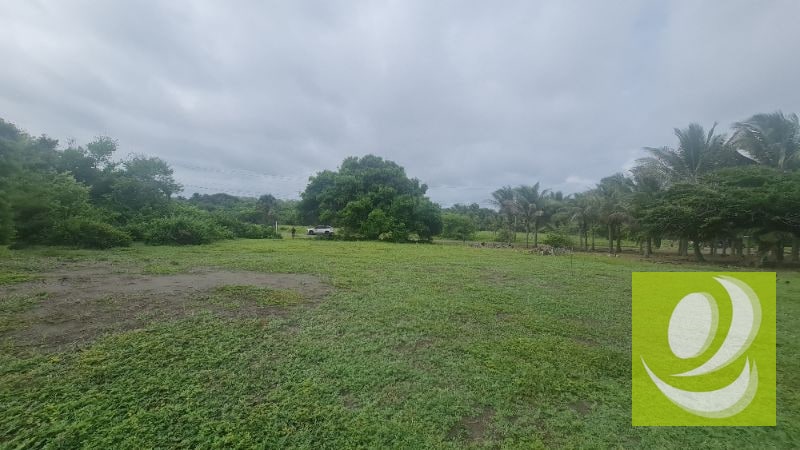 TERRENO EN VENTA FRENTE AL MAR EN MONTERRICO - 6