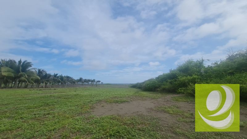 TERRENO EN VENTA FRENTE AL MAR EN MONTERRICO - 4