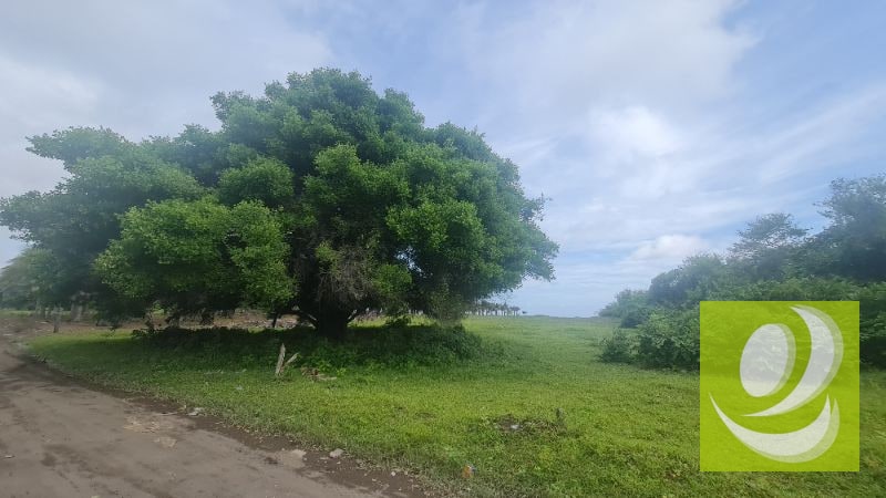 TERRENO EN VENTA FRENTE AL MAR EN MONTERRICO - 2
