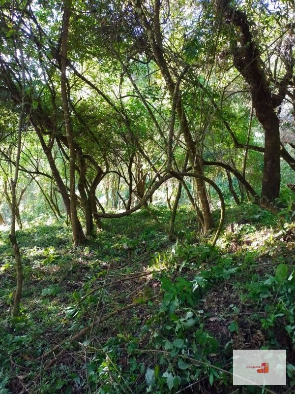 Venta de Terreno en El Encinal Tronco 8 - Mixco Guate - 11