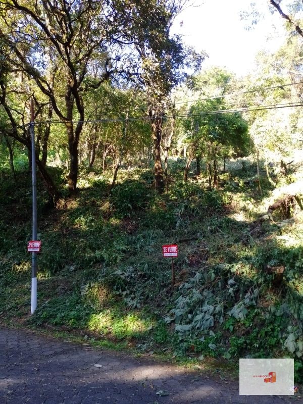 Venta de Terreno en El Encinal Tronco 8 - Mixco Guate - 5
