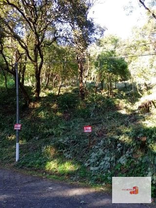 Venta de Terreno en El Encinal Tronco 8 - Mixco Guate — Terreno en Venta en Zona 7 Mixco, Guatemala, Ciudad — miniatura 9 de 11
