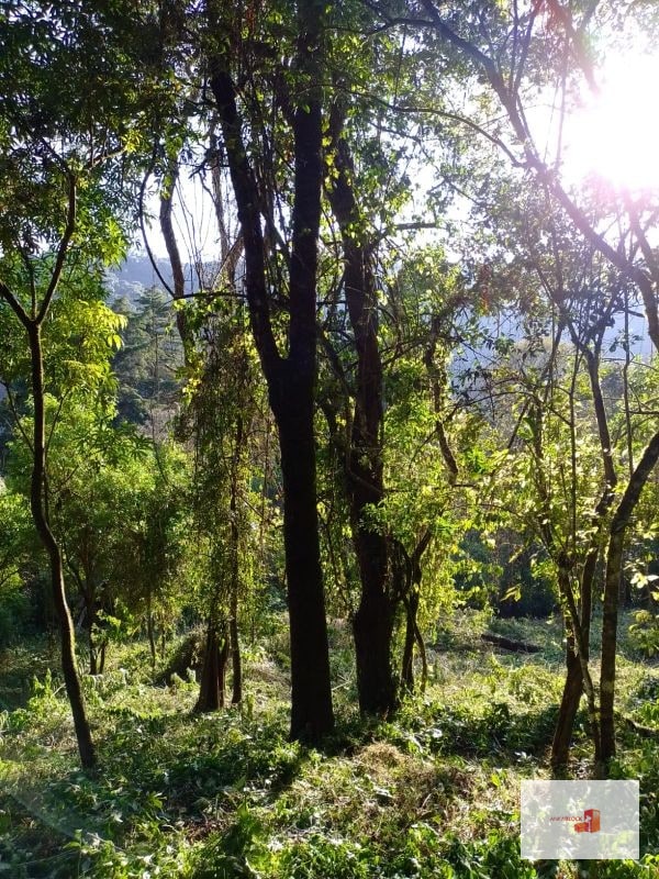 Venta de Terreno en El Encinal Tronco 8 - Mixco Guate - 9