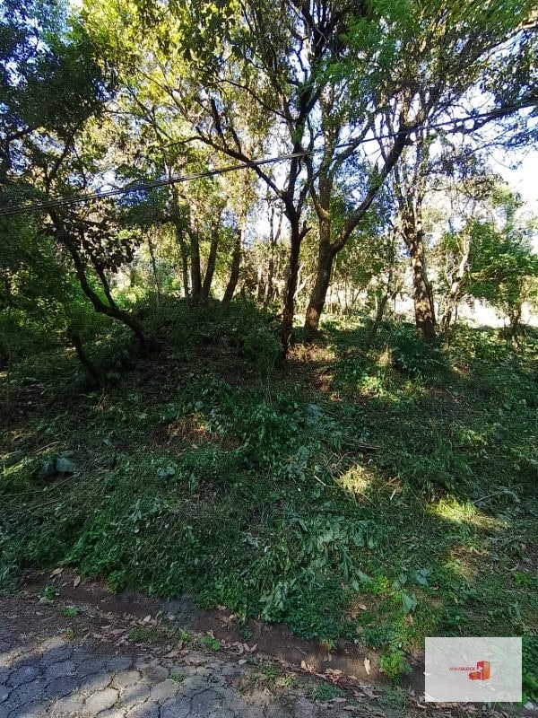 Venta de Terreno en El Encinal Tronco 8 - Mixco Guate - 4