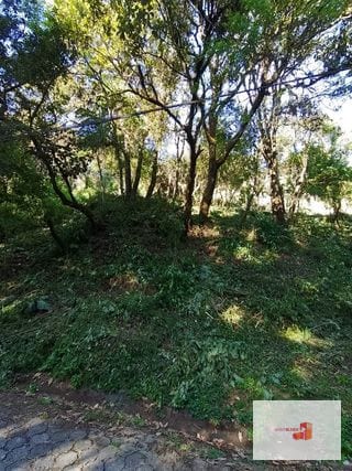 Venta de Terreno en El Encinal Tronco 8 - Mixco Guate — Terreno en Venta en Zona 7 Mixco, Guatemala, Ciudad — miniatura 6 de 11