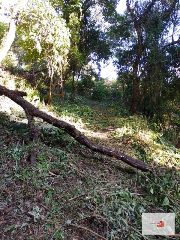 Venta de Terreno en El Encinal Tronco 8 - Mixco Guate - 8