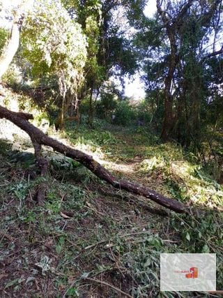 Venta de Terreno en El Encinal Tronco 8 - Mixco Guate — Terreno en Venta en Zona 7 Mixco, Guatemala, Ciudad — miniatura 3 de 11