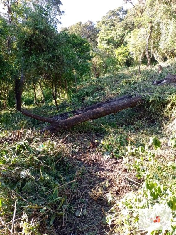 Venta de Terreno en El Encinal Tronco 8 - Mixco Guate - 6