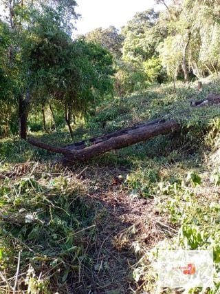 Venta de Terreno en El Encinal Tronco 8 - Mixco Guate — Terreno en Venta en Zona 7 Mixco, Guatemala, Ciudad — miniatura 11 de 11