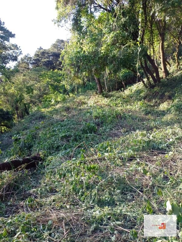 Venta de Terreno en El Encinal Tronco 8 - Mixco Guate - 10