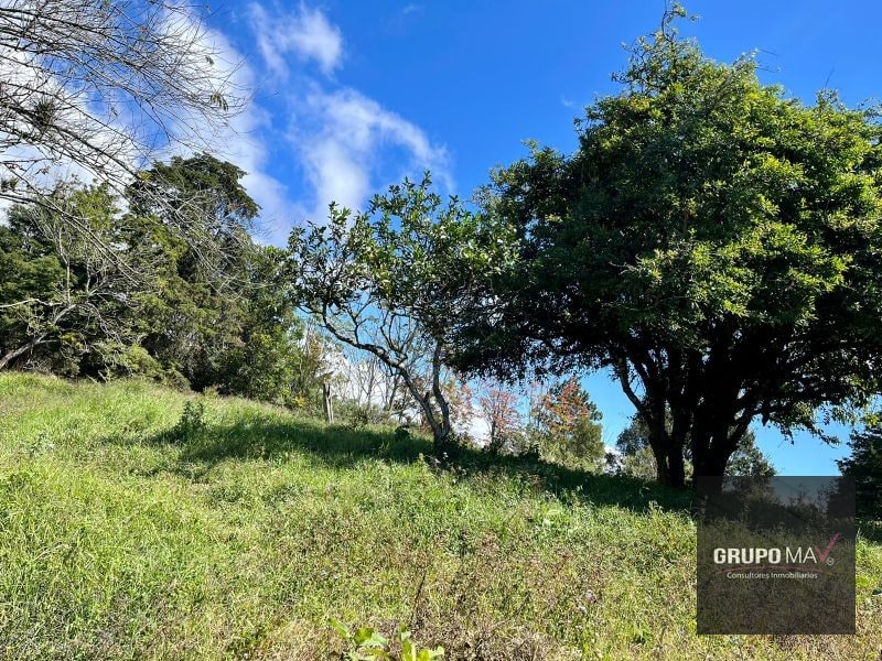 Finca Flor de Carmelo San José Pínula - 3
