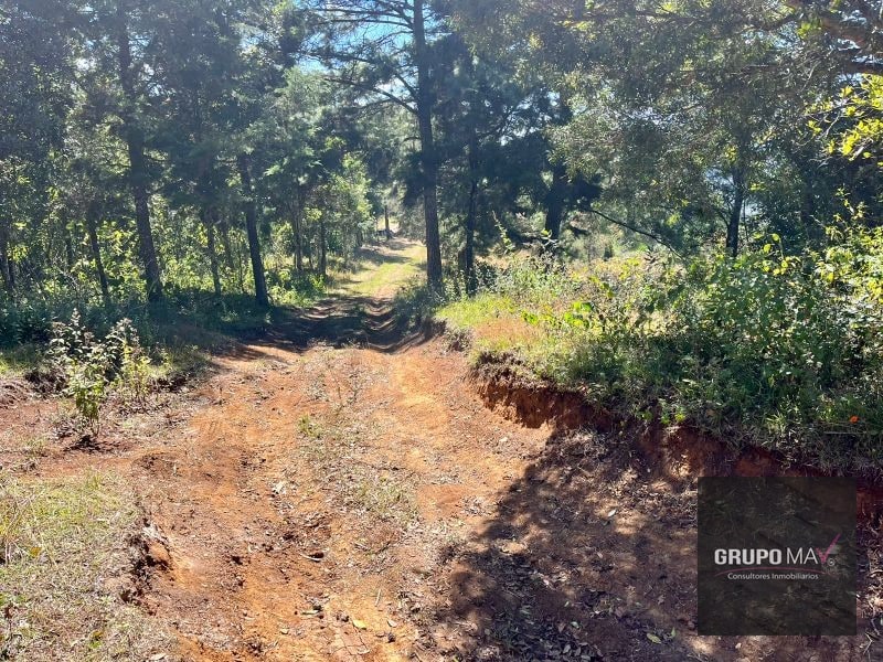 Finca Flor de Carmelo San José Pínula - 1