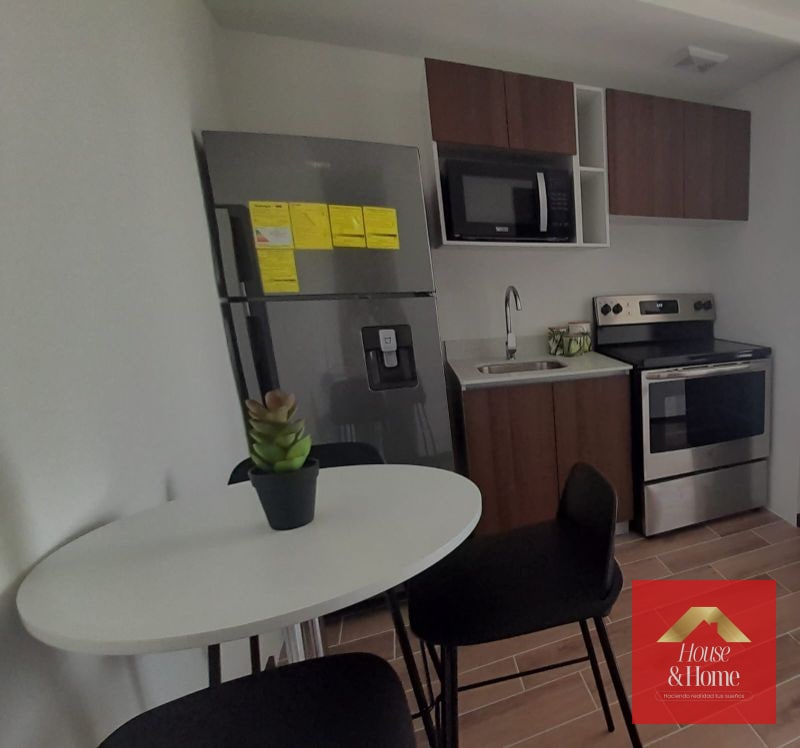 ZONA 4 / APARTAMENTO AMUEBLADO EN RENTA - 2