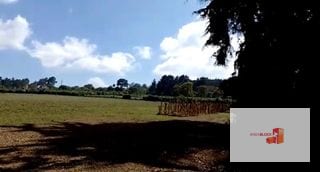 Venta de terreno plano / Magdalena Milpas Altas — Terreno en Venta en Santa Lucía Milpas Altas, Sacatepéquez — miniatura 4 de 5