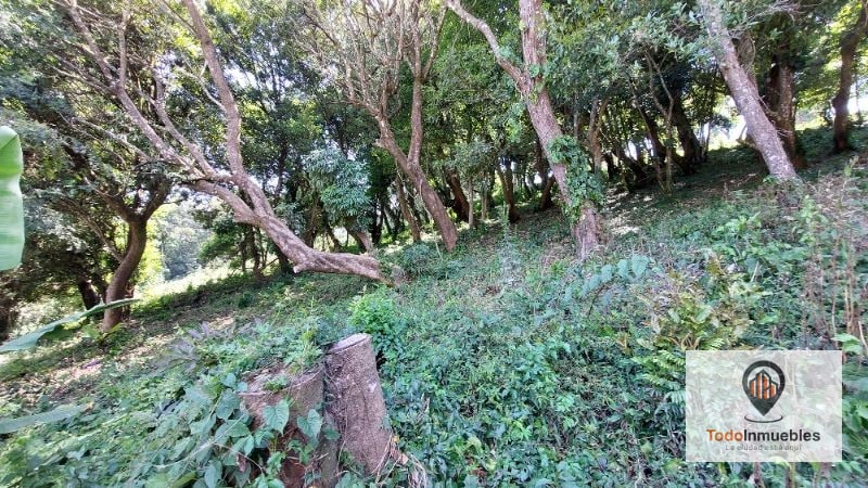 Terreno en Venta en Colinas de Castel Fraijanes - 4