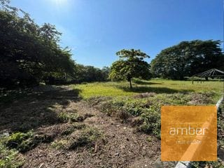 Terreno en Escuintla — Terreno en Alquiler en Escuintla, Escuintla — miniatura 3 de 4