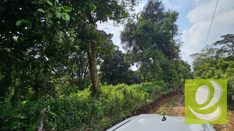 TERRENO EN VENTA CERCA DE LA RESERVA CARRETERA A SANTA ELENA BARILLAS - 8