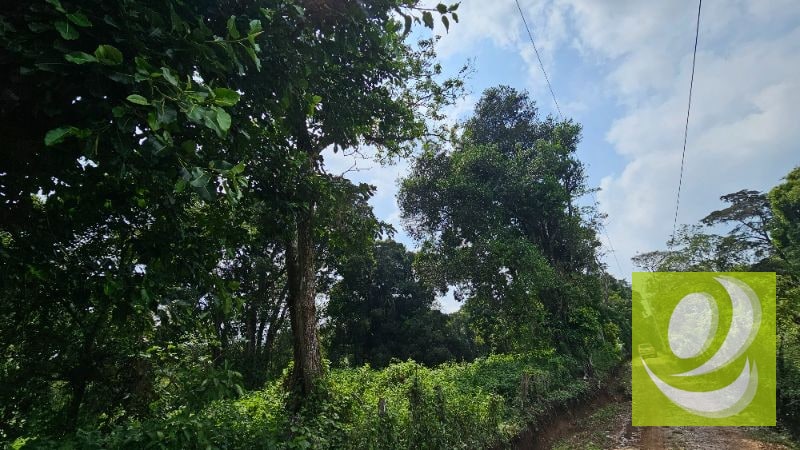 TERRENO EN VENTA CERCA DE LA RESERVA CARRETERA A SANTA ELENA BARILLAS - 7