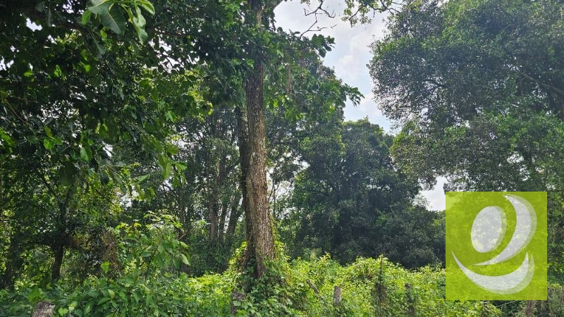 TERRENO EN VENTA CERCA DE LA RESERVA CARRETERA A SANTA ELENA BARILLAS - 2