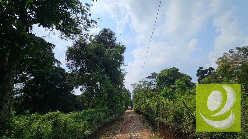 TERRENO EN VENTA CERCA DE LA RESERVA CARRETERA A SANTA ELENA BARILLAS - 9