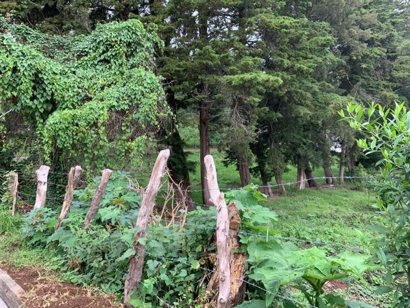 HERMOSO TERRENO CARRETERA A FRAIJANES — Terreno en Venta en Carretera a El Salvador, Guatemala, Ciudad — foto 4 de 4