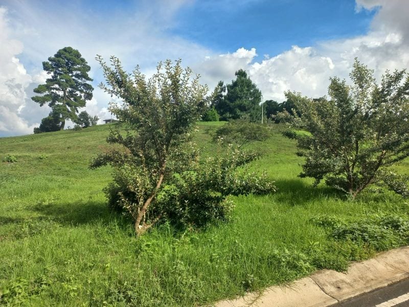 EL PULTE TERRENO EN VENTA EN ENCUESTRIAN COUNTRY CLUB ZONA 16 — Terreno en Venta en El Pulté, Zona 16, Guatemala, Ciudad — foto 5 de 10