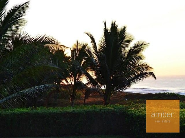 Lote en Palmeras de Monterrico - 1