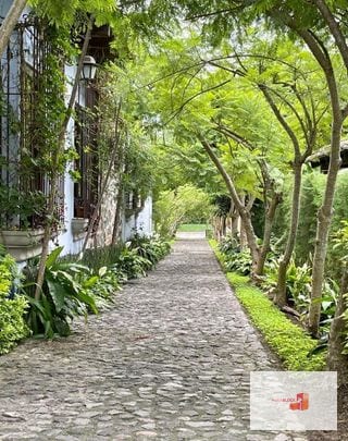 Casita en Antigua / amueblada — Apartamento en Alquiler en Antigua, Sacatepéquez — miniatura 16 de 16