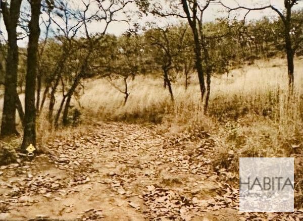 Vendo terreno rumbo a Palencia km21.1 - 4