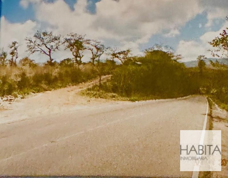 Vendo terreno rumbo a Palencia km21.1 - 1