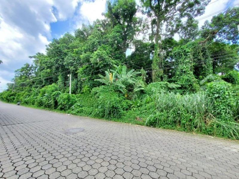 Vendo Terreno Grande en Mazatenango Ideal Desarrollo — Terreno en Venta en Mazatenango, Suchitepéquez — foto 2 de 9