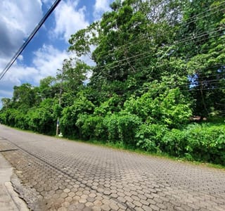 Vendo Terreno Grande en Mazatenango Ideal Desarrollo — Terreno en Venta en Mazatenango, Suchitepéquez — miniatura 3 de 9