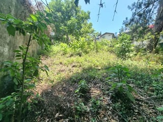 TERRENO EN VENTA SANTA ROSALIA KM 12 CES — Terreno en Venta en Santa Rosalia La Laguna, Carretera a El Salvador, Guatemala, Ciudad — miniatura 2 de 4