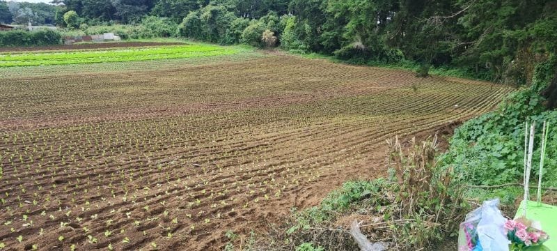 VENTA TERRENO EN STO TOMAS MILPAS ALTAS, CERCA DE ANTIGUA G — Terreno en Venta en Santo Tomás Milpas Altas, Sacatepéquez — foto 5 de 8