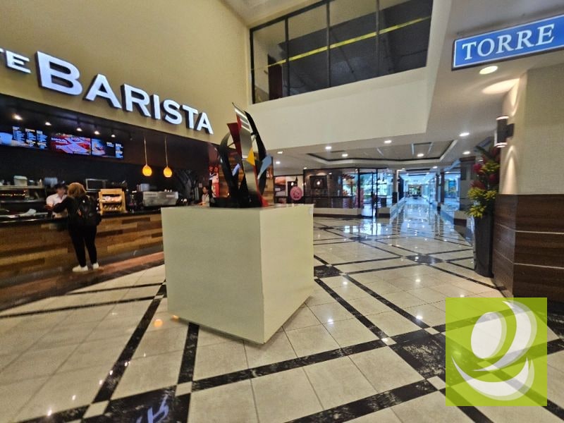 ALQUILO OFICINA EN ZONA 14 EUROPLAZA - 9