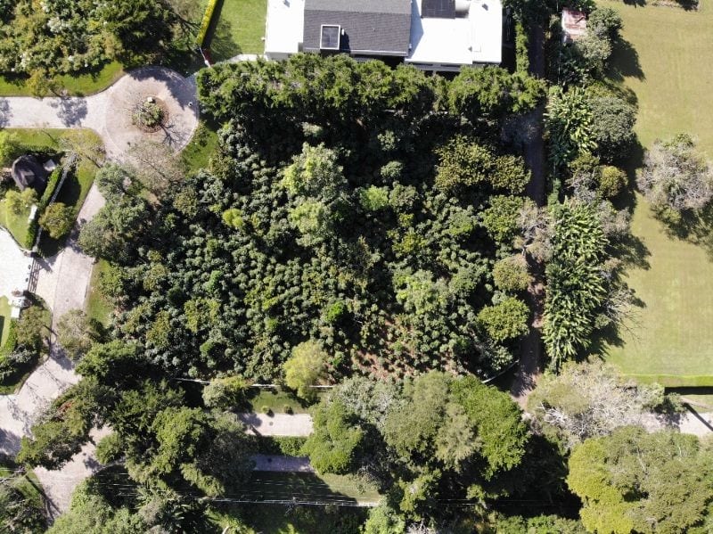 Terreno El Recreo / Santa Elena del Lago — Terreno en Venta en Santa Elena del Lago, Santa Elena Barillas, Guatemala, Ciudad — foto 10 de 15