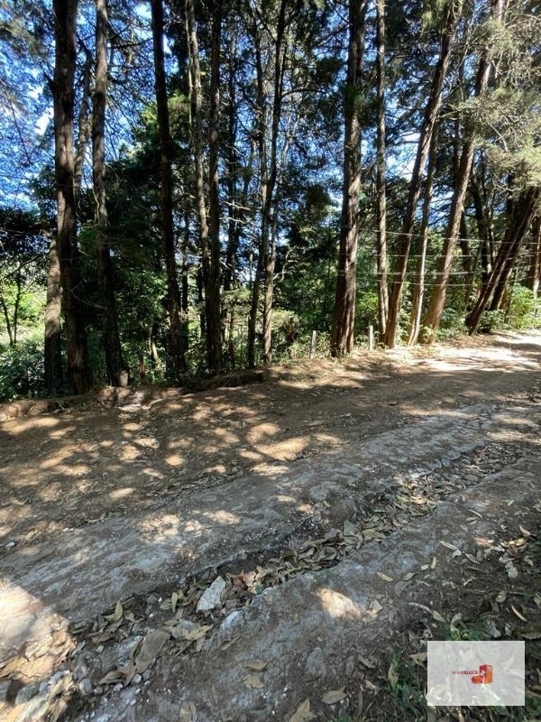 Terreno en lotificación Carr.a El Salvador 1/2 Mz. Km.22.5  - 6