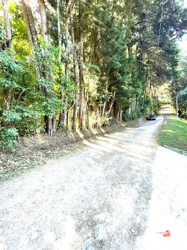 Terreno en lotificación Carr.a El Salvador 1/2 Mz. Km.22.5  - 10
