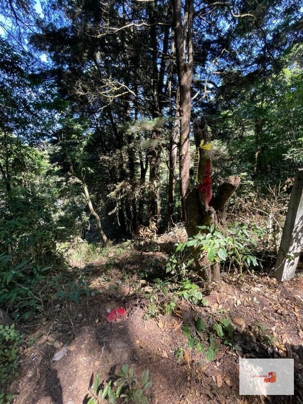 Terreno en lotificación Carr.a El Salvador 1/2 Mz. Km.22.5  - 3
