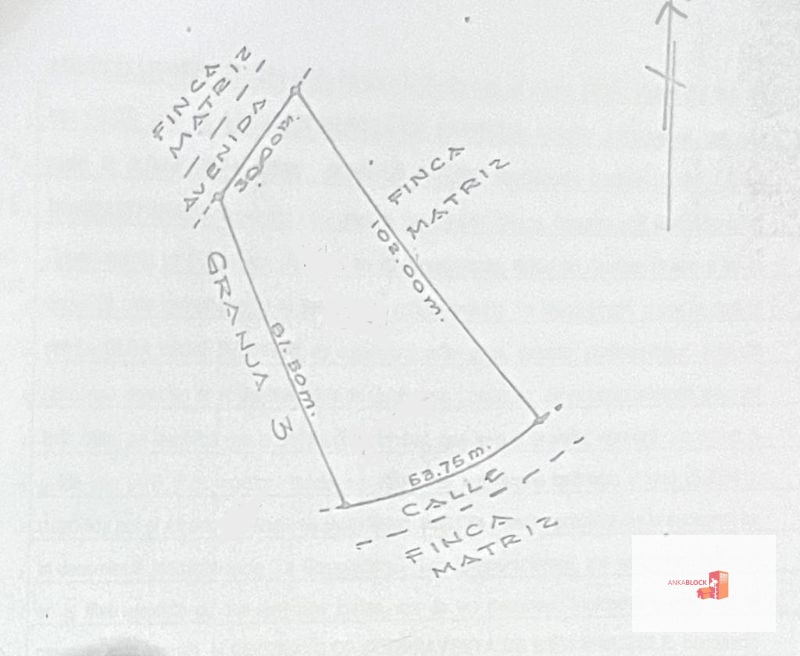 Terreno en lotificación Carr.a El Salvador 1/2 Mz. Km.22.5 - 2