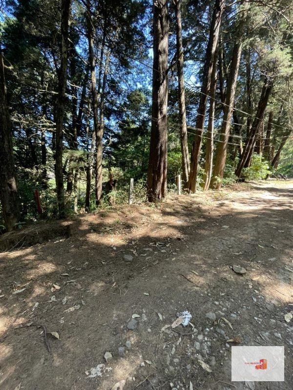 Terreno en lotificación Carr.a El Salvador 1/2 Mz. Km.22.5  - 5