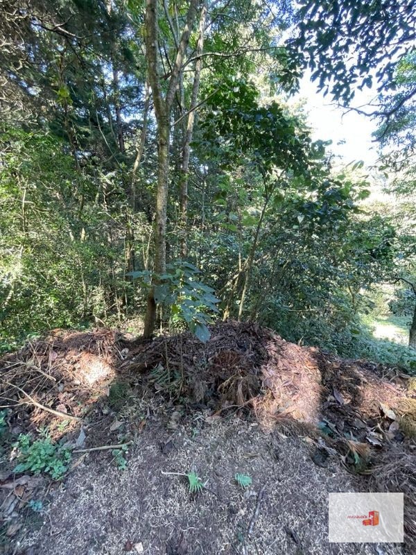 Terreno en lotificación Carr.a El Salvador 1/2 Mz. Km.22.5 - 1